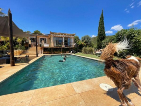 El Paraiso de los Perros